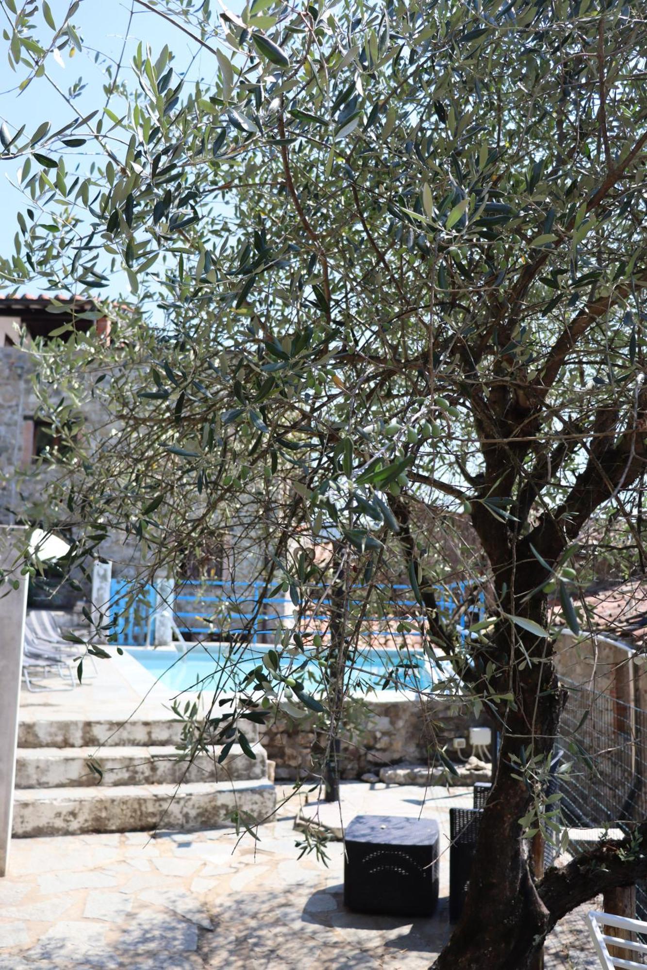 Vila Carpe Diem Colognora Vetriano Exteriér fotografie