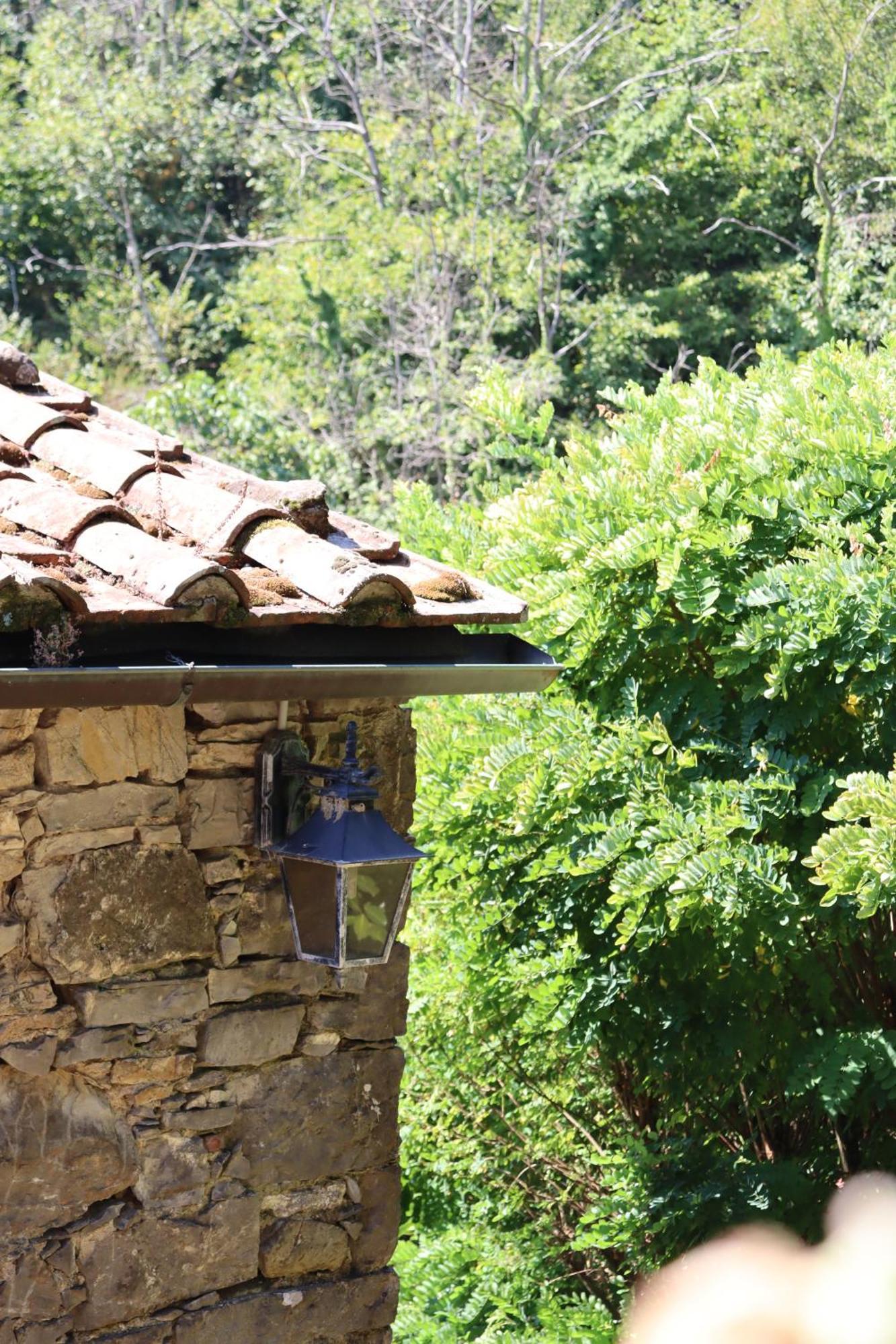 Vila Carpe Diem Colognora Vetriano Exteriér fotografie